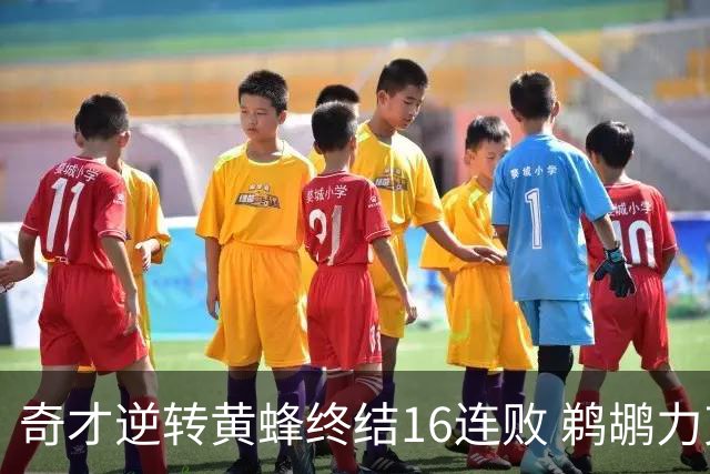 奇才逆转黄蜂终结16连败 鹈鹕力克76人3连胜